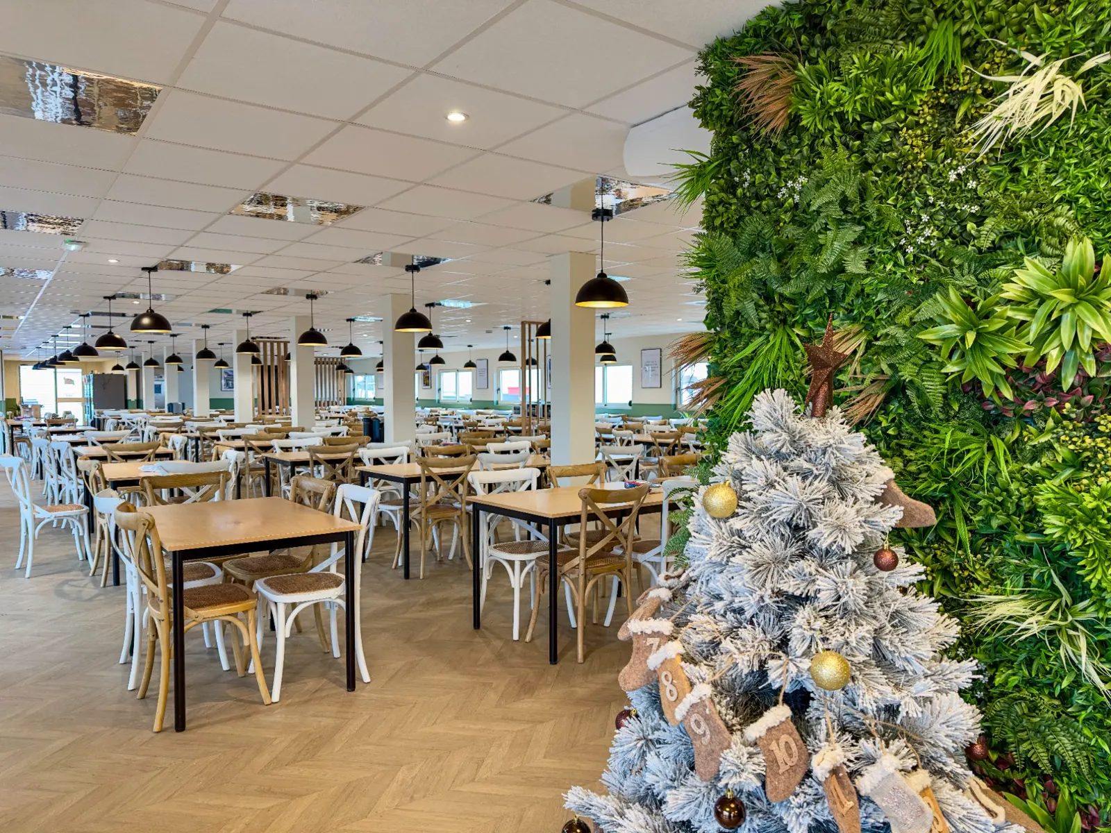 Bureaux à ossature bois